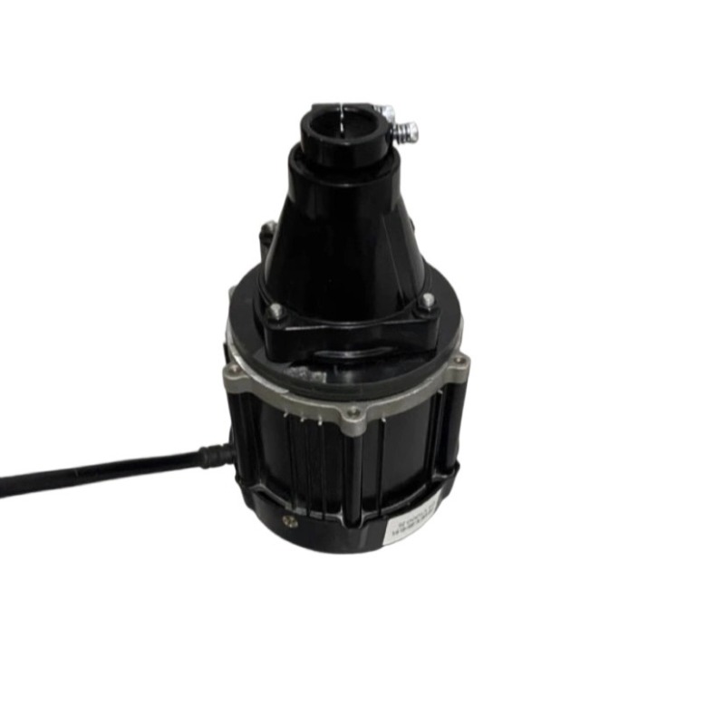 12V-60V 500W-1500W Borstelloze - Fishing Boat Trolling Motor recensie en prijs